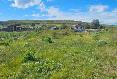 Persoana Fizica vand Teren Cluj - Borsa Catun - Intravilan 2300 mp - Extras CF - Cabana - Foisor - 11