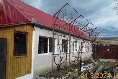 CASA 100 MP | 710 MP TEREN | 3 CAMERE |HOMOROD-3KM RUPEA|| - 3