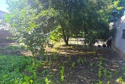 Casa cu acces, curte si gradina proprie, 1.000 mp teren, Central - Prejmer, Bras - 10