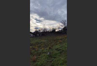 Teren Intravilan Baicoi 1061 mp - 5