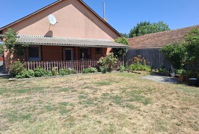 Proprietate mixta de vanzare in Nadlac - Casa moderna + hala/grajd + teren mare - 4