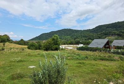 Teren Glajerie - 5