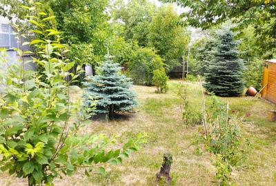 Oportunitate! Casa 300 mp utili, 1000 mp teren, zona Gruia - 11