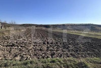 Teren de 5800 mp, în Dej - 2