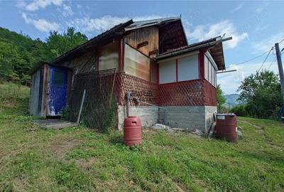 Cabana, anexe si 2000 mp teren intravilan in Taratel, Brad - 9