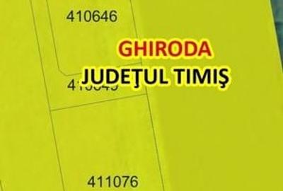 Teren cu PUZ Ghiroda 5350mp. - 3