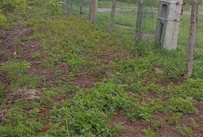 Teren de 472 mp, în Lipănești - 4