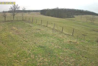 Casă cu 3 camere în Ardud - 4