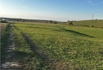 RECO Teren intravilan, Cihei, 2000 mp RECO Teren intravilan, Cihei, 2000 mp - 2