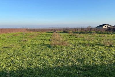 Teren  Tătarca, comuna Tulucești– 2.042 mp - 2