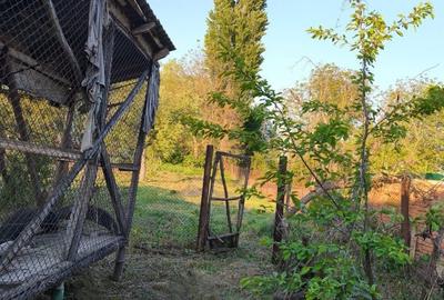 Casă cu 3 camere cu Teren 1076 Mp în Șibot - 8