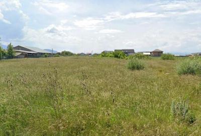 Teren in aria rezidentiala, cu doua fronturi stradale, Crist - 8