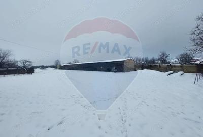 Casă cu 5 camere cu Teren 7531 Mp în Sacu - 8