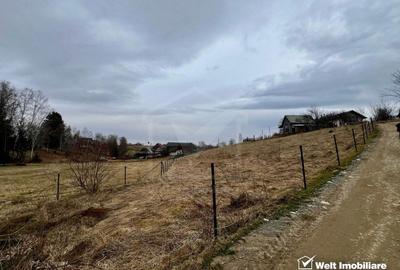 Teren pentru cabana, Risca, Valea Fericirii - 5