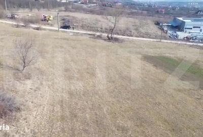 Spațiu comercial, în Viișoara - 3