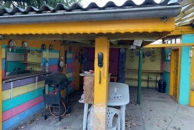 Teren + Casa batraneasca - zona Calea Calarasilor - 9