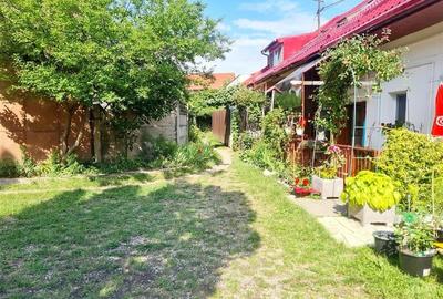 3D! Locatie decomandata,cu gradina, rezidential/activitate profesionala, Central - 14