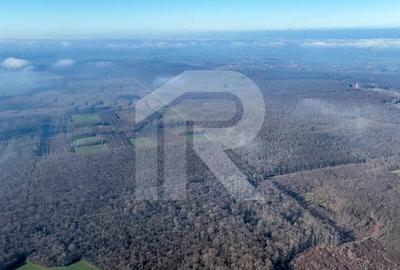 Teren langa Manastirea Sfantul Nicolae Sitaru - 6