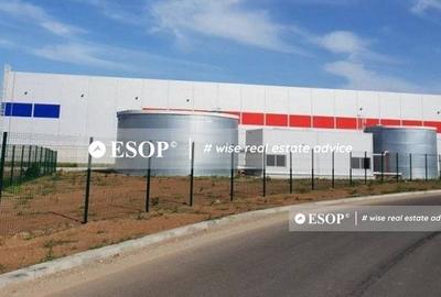 WDP Industrial Park Stefanesti, spatii industriale, 5.000 - 53.000mp WDP Industrial Park Stefanesti, spatii industriale, 5.000 - 53.000mp - 2