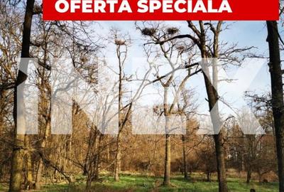 Padure stejar 20 ha de vanzare - Zona plana langa Autostrada Pitesti - 1