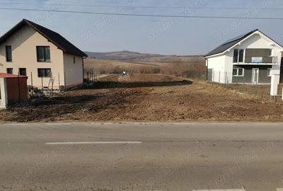 Teren de 750 mp, în Hamba - 2