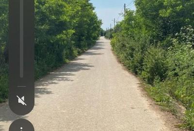 Spațiu comercial, în Miersig - 1