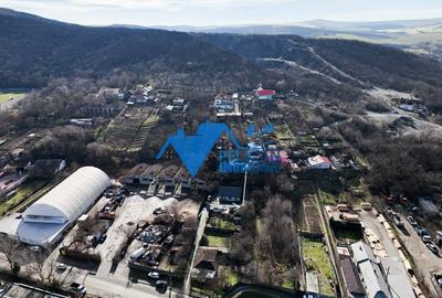 Teren intravilan BIDIDIA, zona deosebita, 550MP - 13