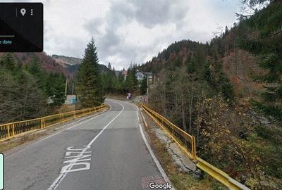 TEREN EXTRAVILAN PADURE PISCUL NEGRU ARGES - 3