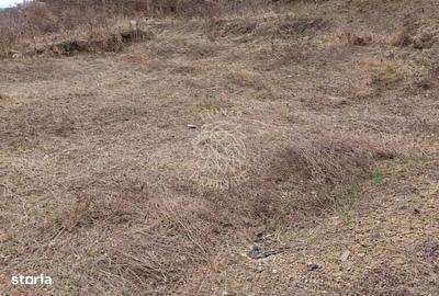 Spațiu comercial, în Central