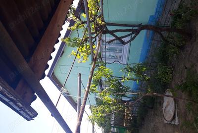 Casă în Sulina - 2