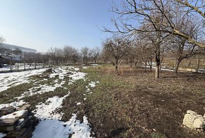 Casă cu 3 camere în Coșeiu - 4