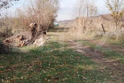 Teren de 3360 mp, în Aninoasa