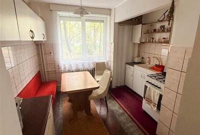 Apartament cu 2 camere semidecomandat în Decebal - 6