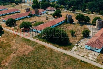 Ferma complet utilată – 30 ha teren comasat cu 11.500mp grajduri renovate Timiș - 6