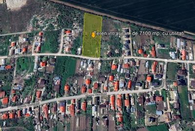 Teren Construcții intravilan de 7100 mp, în Tamași