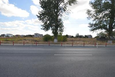 Loturi Teren Intravilan Berceni - Vidra | Localizare Excelenta - 6