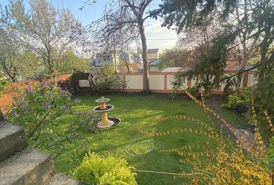 Teren de 300 mp, în Chitila - 5