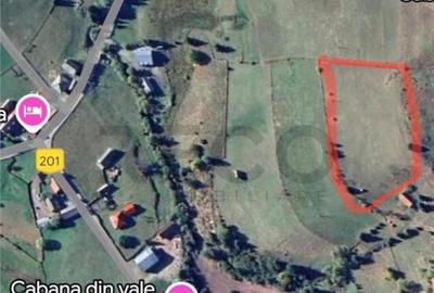 RECO Teren intravilan in Arieseni - 3