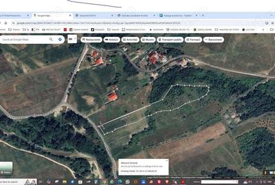 Teren în Copăceni - 2
