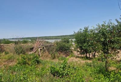 Teren de 1200 mp, în Mahmudia - 7