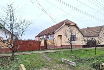 Cota 1/2 casa si teren Pustini?, jud. Timi?-id R1992745 - 5