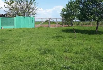 Teren de 2800 mp, în Alioș - 6