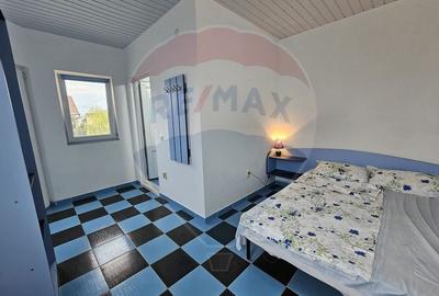 Casa / Vila cu 8 camere de vanzare Schitu/Costinesti - 10