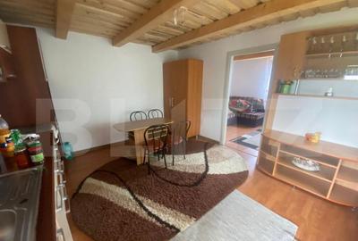 Teren extravilan 10 ari cu Cabana de 45 mp - 9