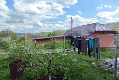Casa+ casa vacanta, 2200 mp livada, Schitu-Duca - 4