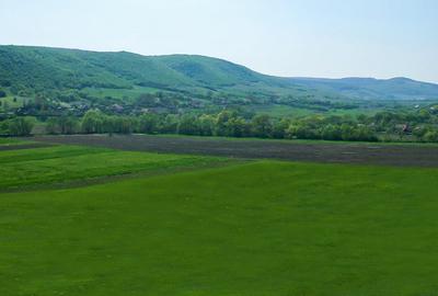 Teren agricol extravilan de 3000 mp, în Borșa - 9