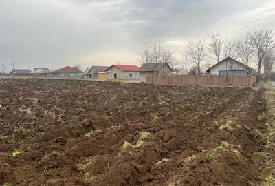Teren de 2000 mp, în Vasile Alecsandri - 9
