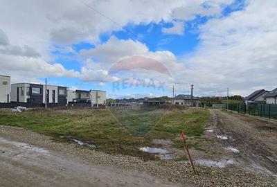 Teren de 720 mp, în Lisaura - 3