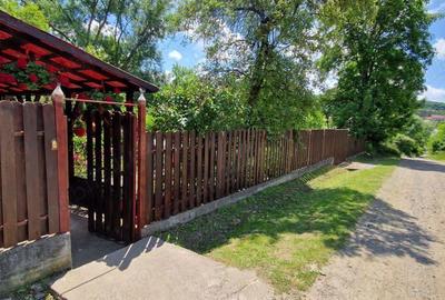 Casa de ?ara de vanzare - 9