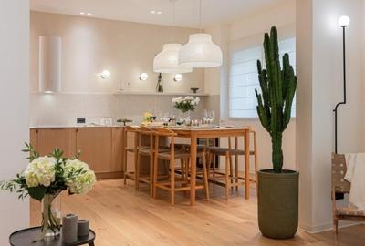 Apartament cu gradina Aviatorilor - 4